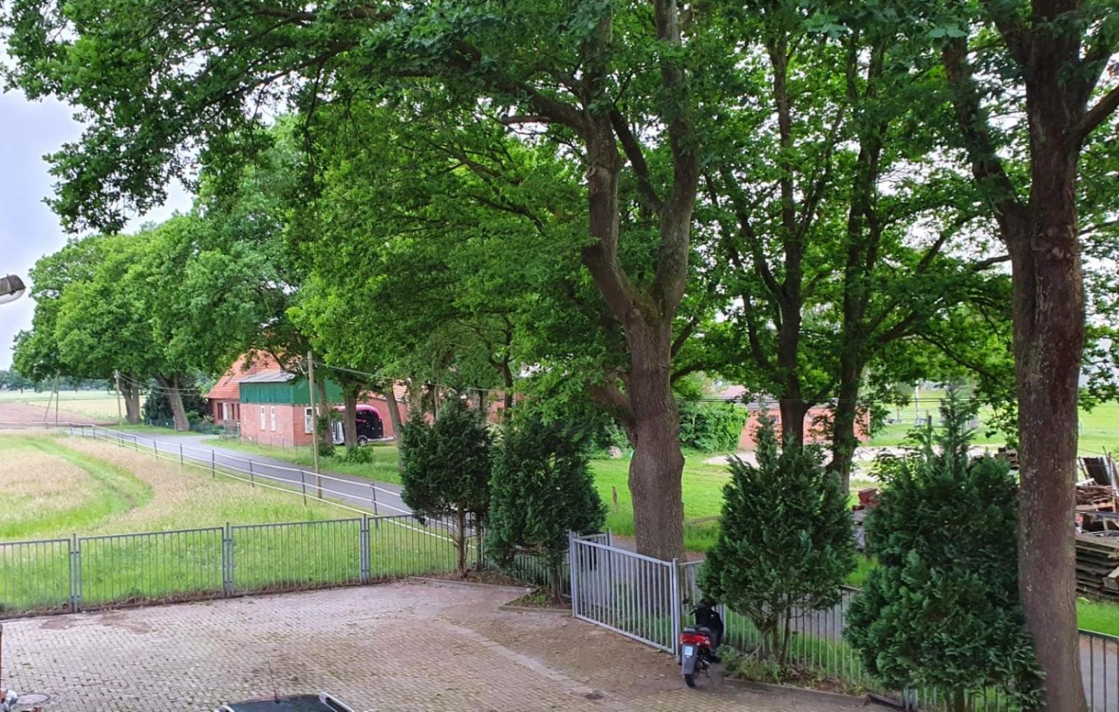 דלמנהורסט Grosse Loft In Idyllischer Lage מראה חיצוני תמונה